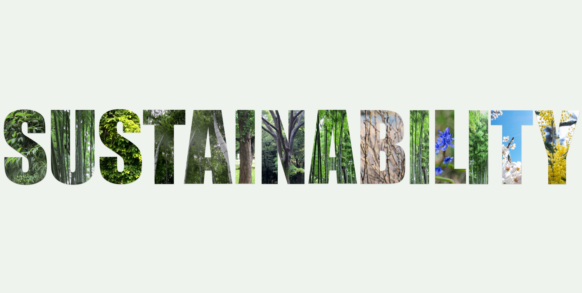 Sustainability